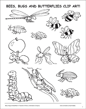 insects clipart printable