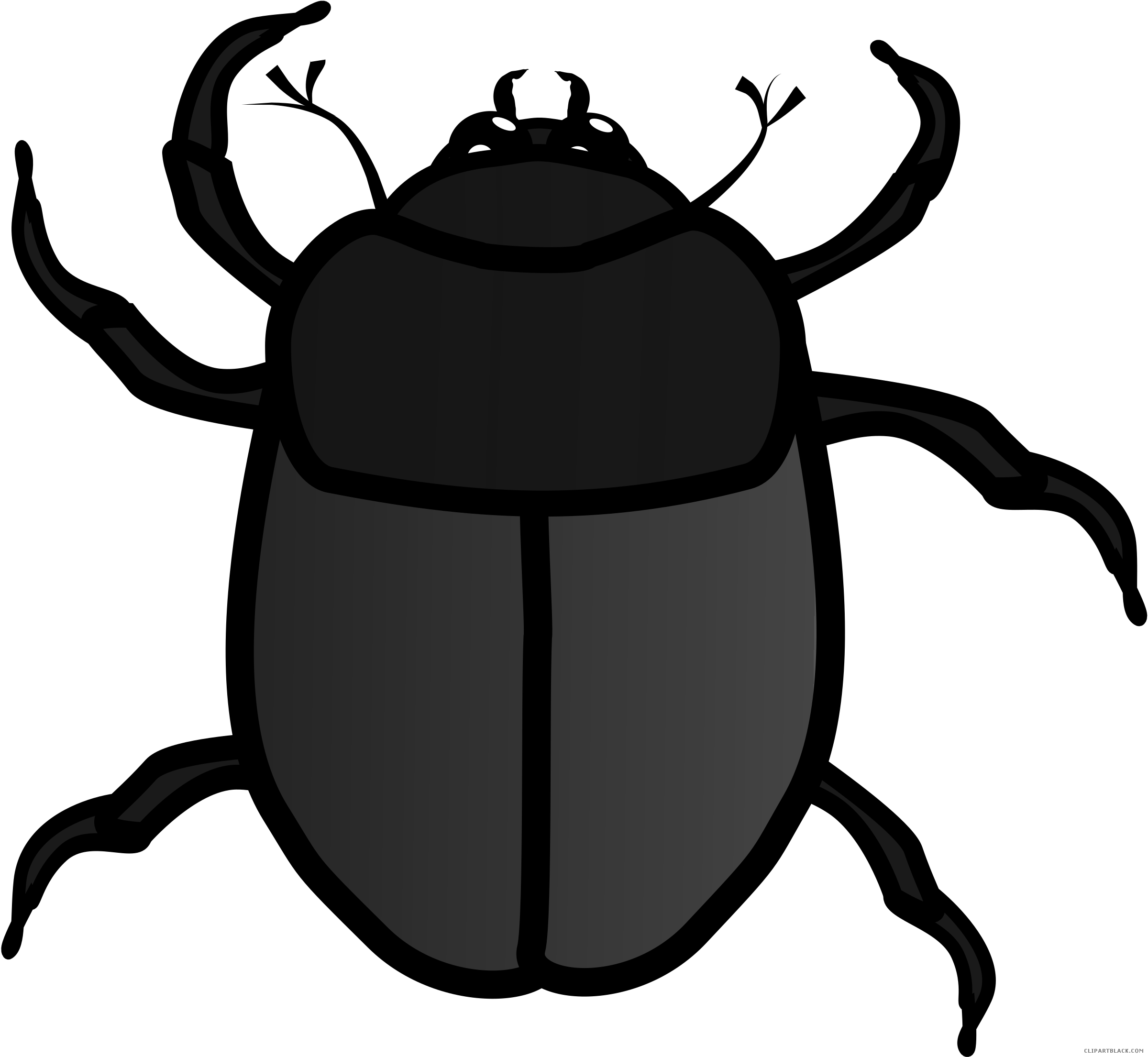 bugs clipart red bug