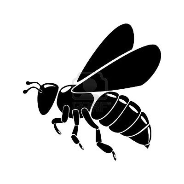 Bugs clipart silhouette.  best silhouettes insect