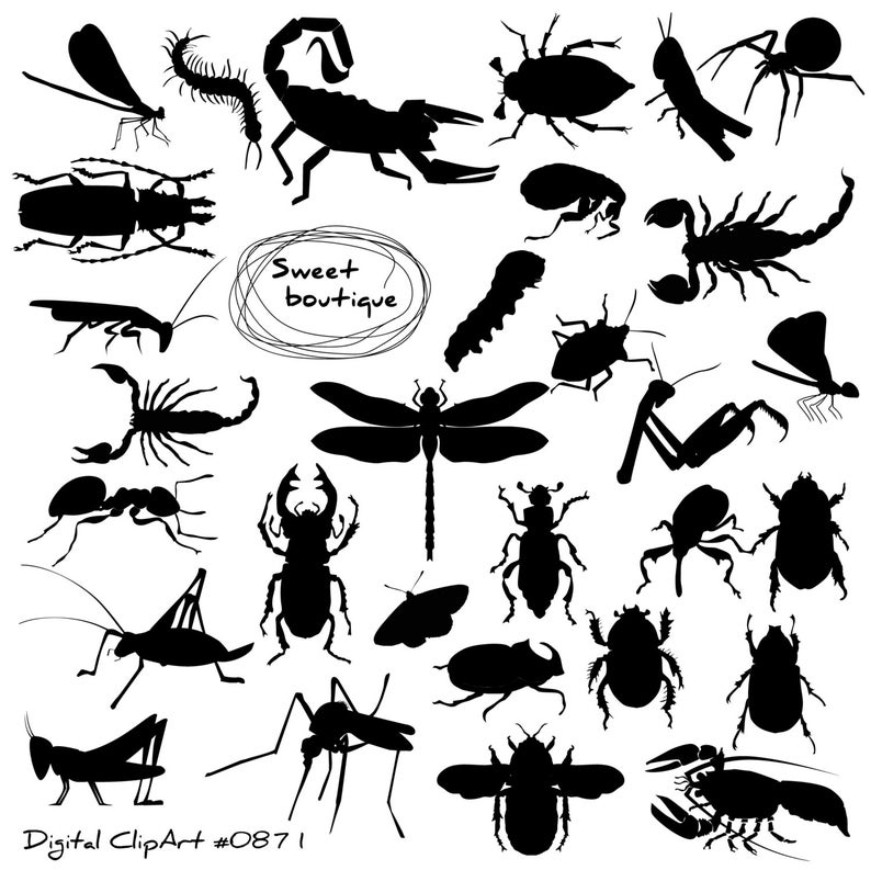 Insects clipart silhouette. Digital clip art bugs