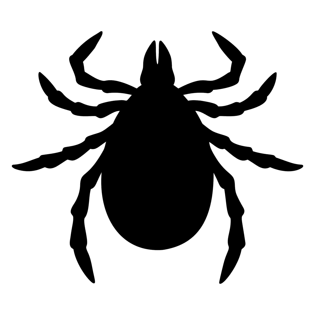 bugs clipart tick