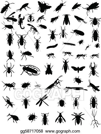 Bugs clipart vector. Art collection of drawing
