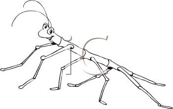 insect clipart colouring