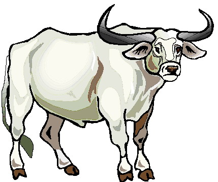 Portal . Bull clipart bull indian