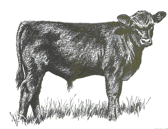 bull clipart profile