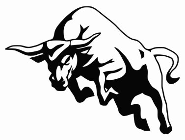 raging bull black and white