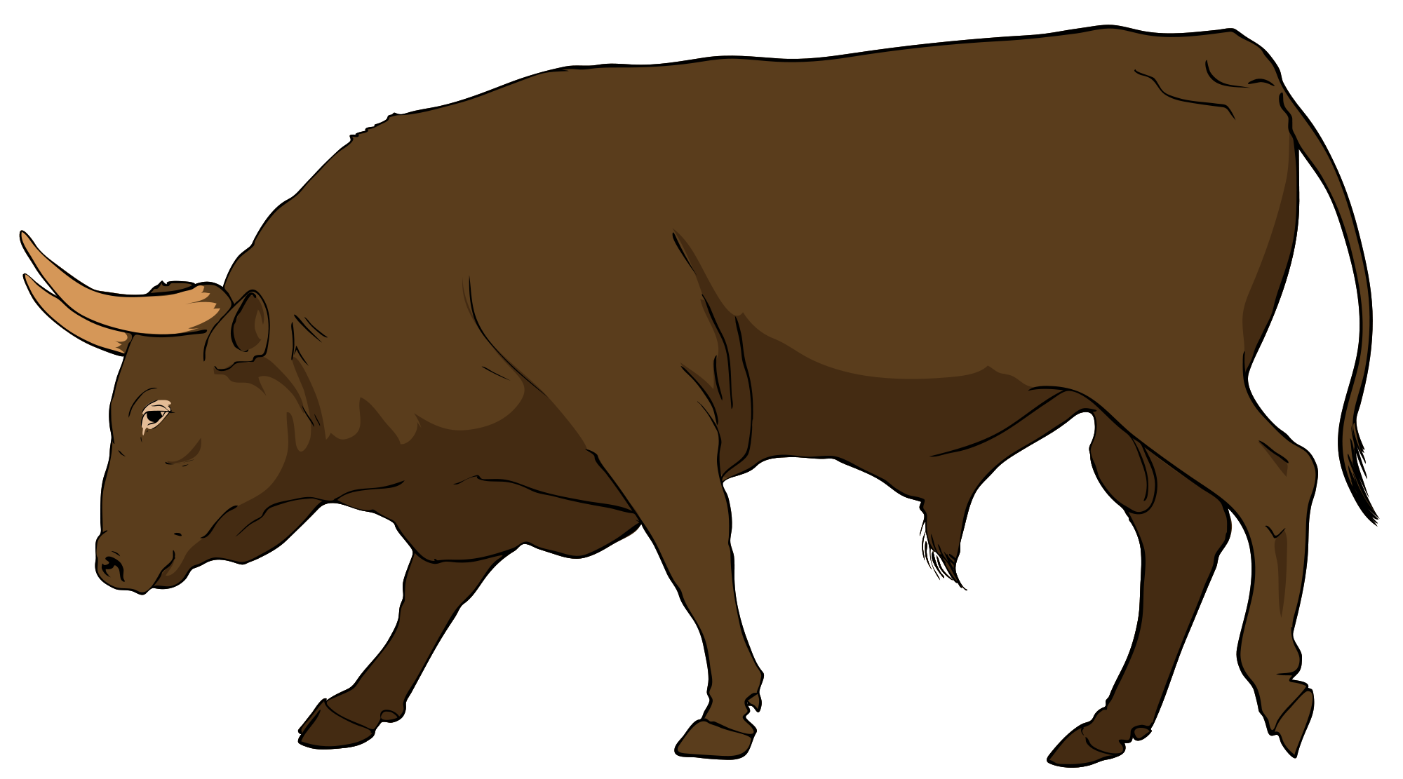 Bull clip art pictures. Clipart goat carabao