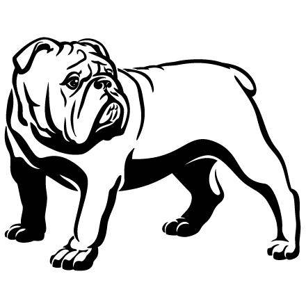 Adorable Cute American Bulldog Clipart