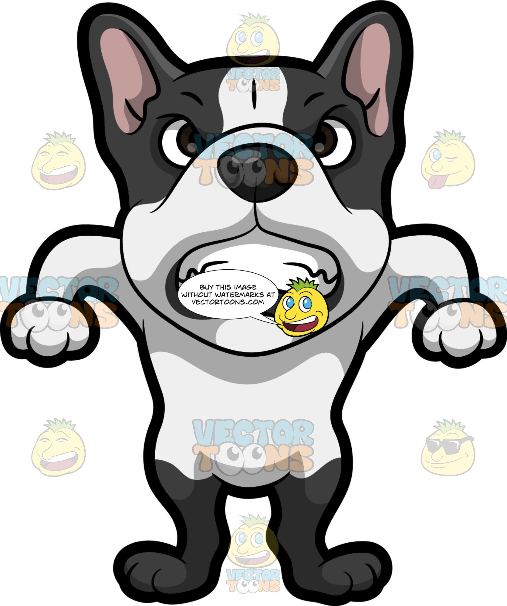 A very french . Bulldog clipart angry