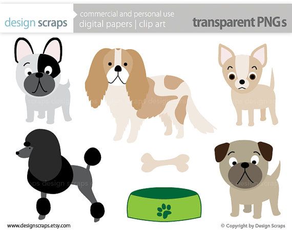 Bulldog clipart animalia.  best dog illustrations