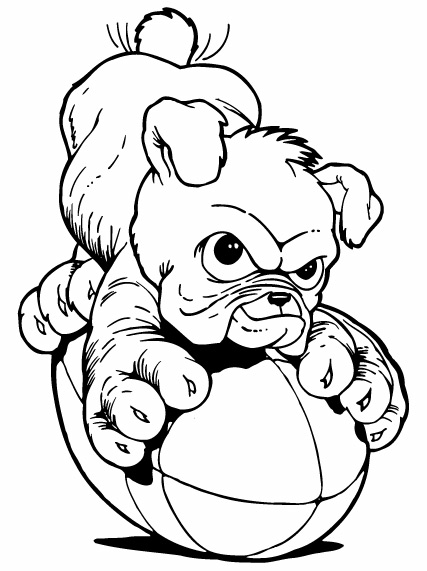 Bulldog clipart cute. Image of clipartoons