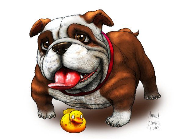Bulldog clipart english bulldog. Bulldogs in cartoons art