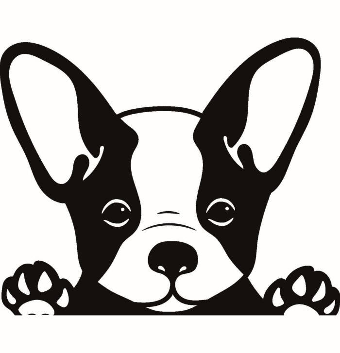 bulldog clipart french bulldog