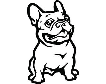 Download Bulldog clipart french bulldog, Bulldog french bulldog Transparent FREE for download on ...