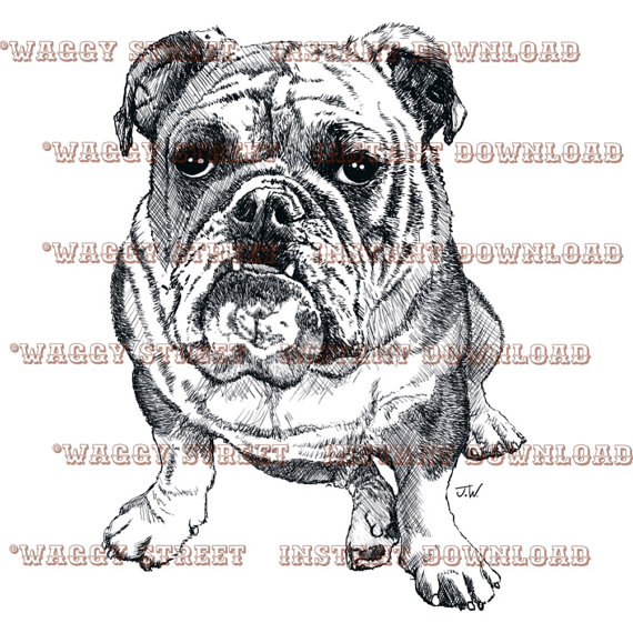 Bulldog clipart printable. Digital art dog