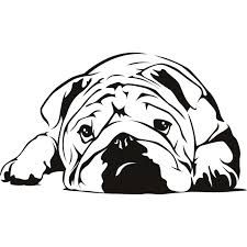  best images on. Bulldog clipart profile