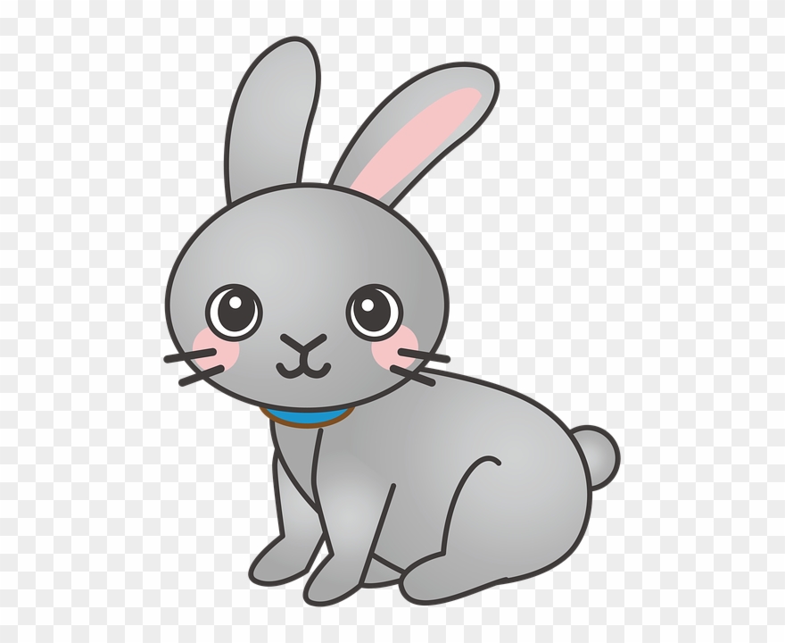 Bunnies clipart cartoon. Rabbit bunny animal cute