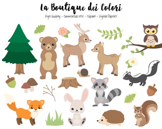 Bunnies clipart forest. Woodland animals cute digital