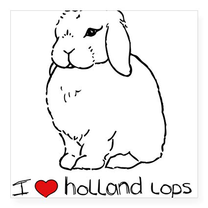bunnies clipart holland lop