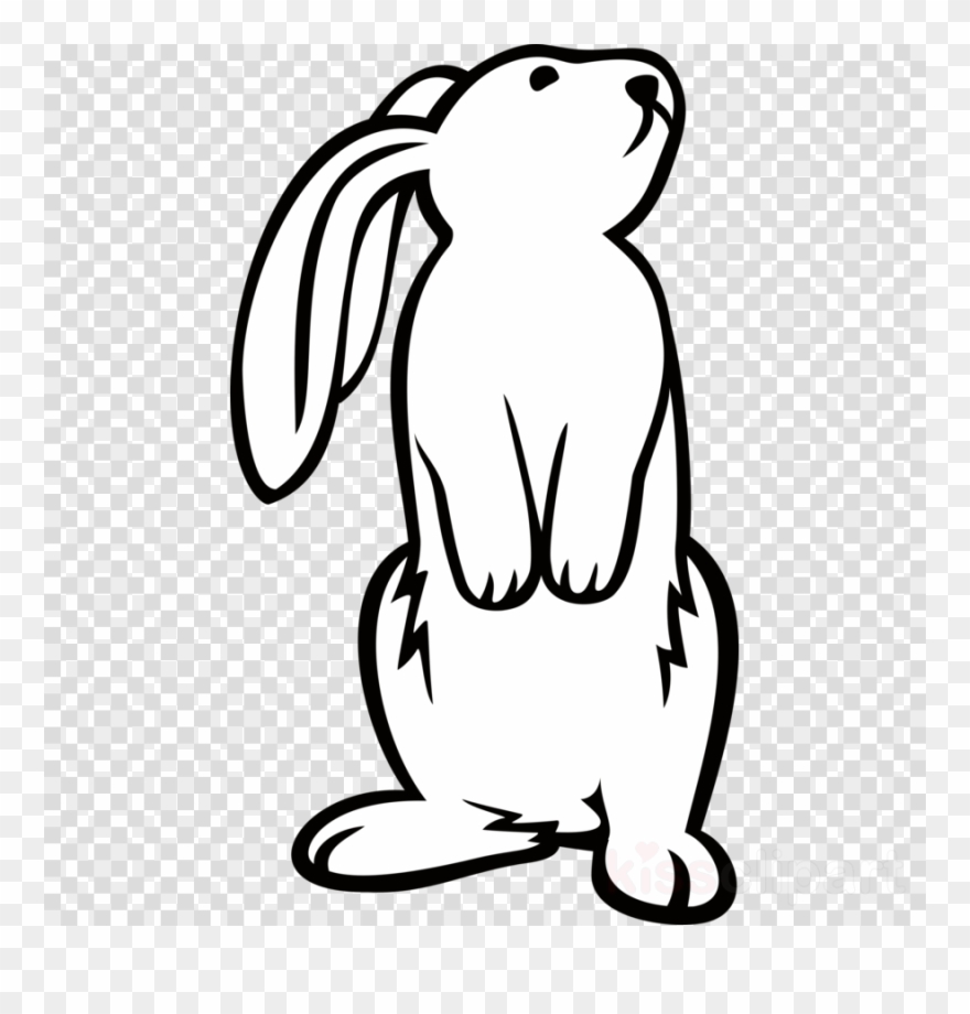 clipart bunny rabbit