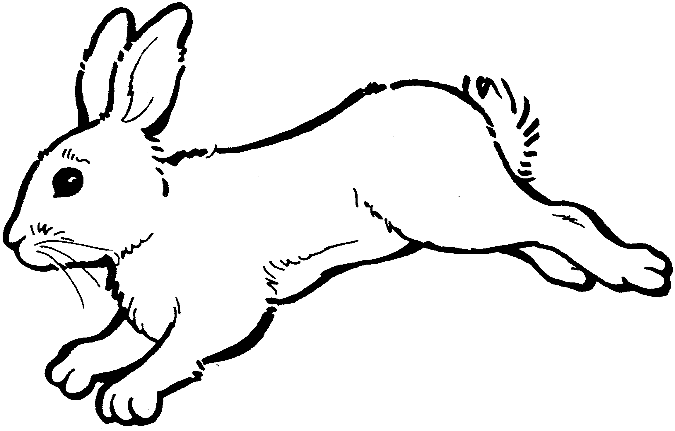 clipart rabbit coloring page