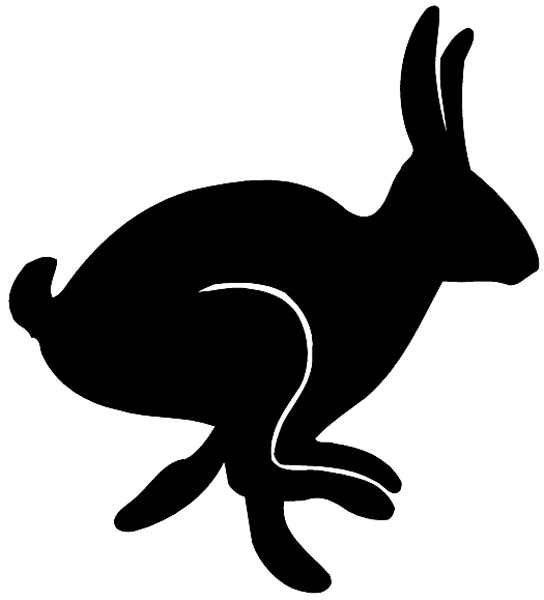 bunny clipart running