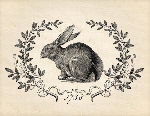 clipart bunny hare