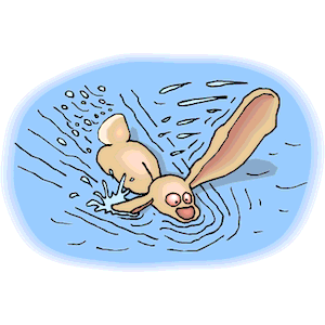 clipart bunny swimming