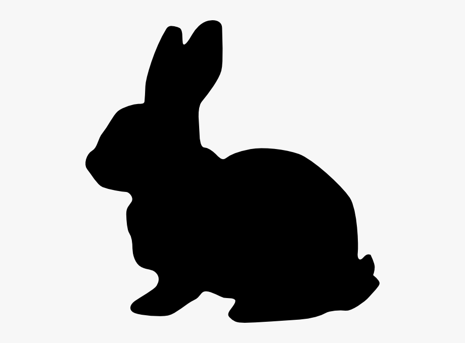 Download Bunny clipart vector, Bunny vector Transparent FREE for ...