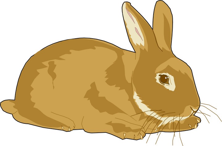 Clipartix . Bunny clipart colored