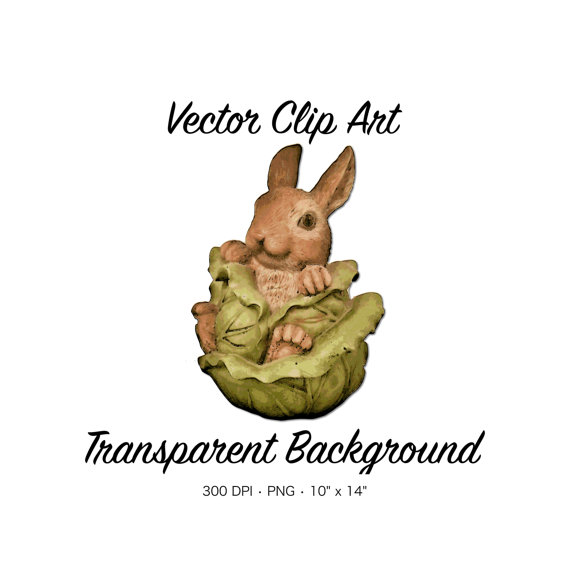 Bunny clipart garden. Clip art cabbage 