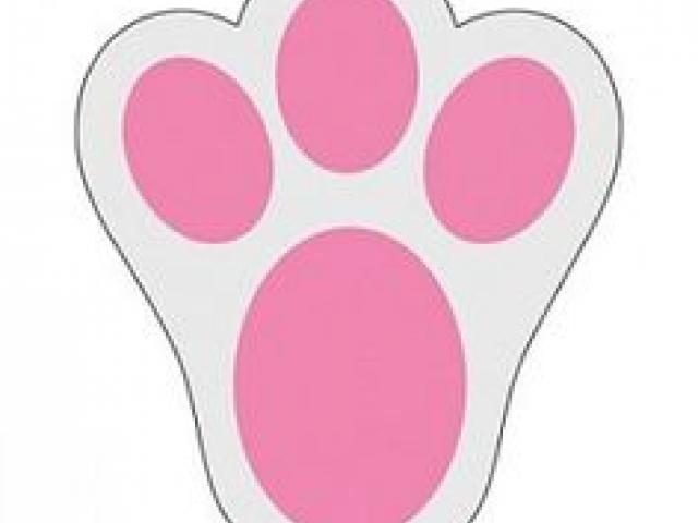Download Bunny clipart paw, Bunny paw Transparent FREE for download ...