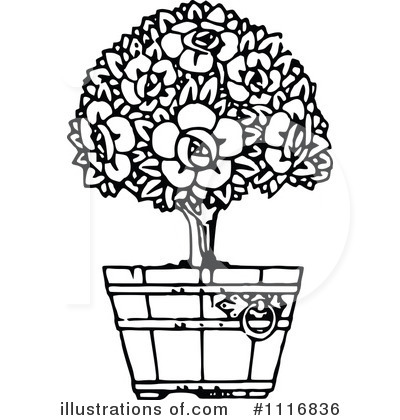 bush clipart black and white