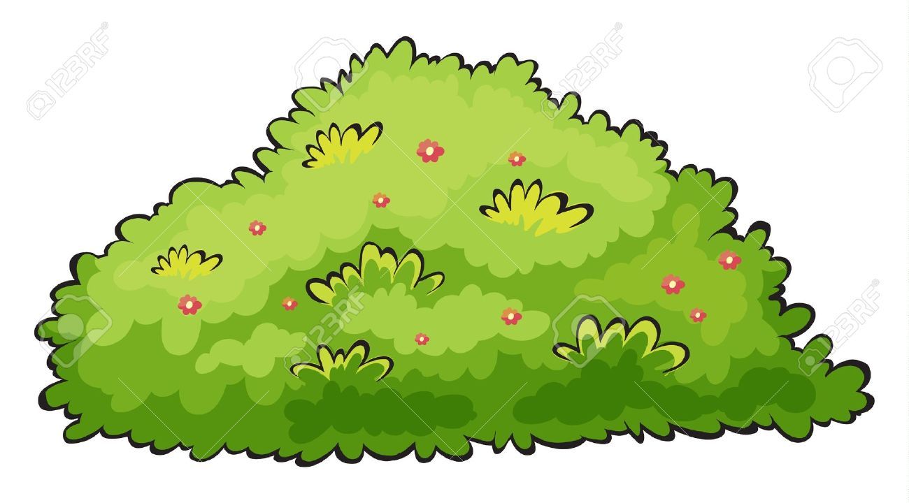 bushes clipart cartoon