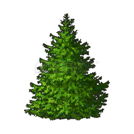 bush clipart evergreen
