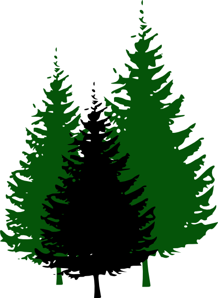 bush clipart evergreen