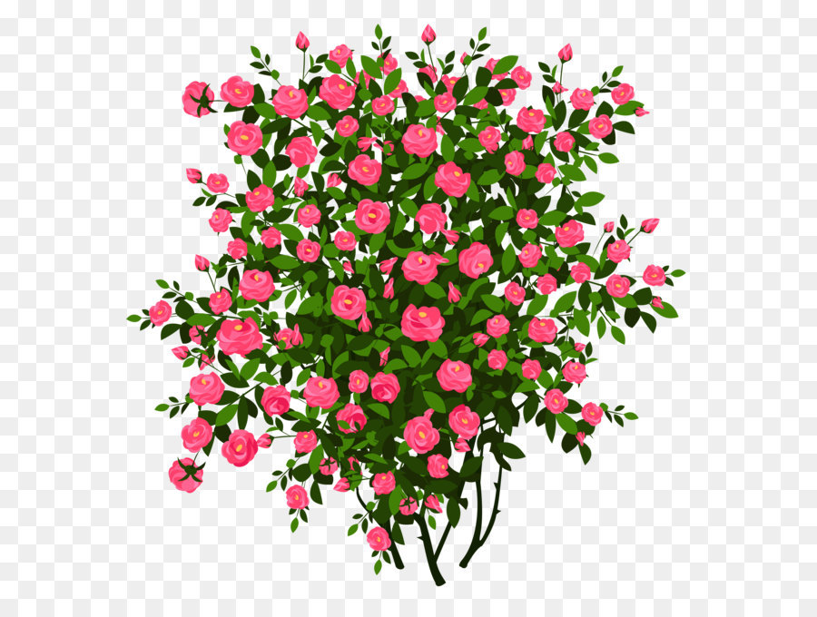 Bush clipart flower. Rose shrub clip art