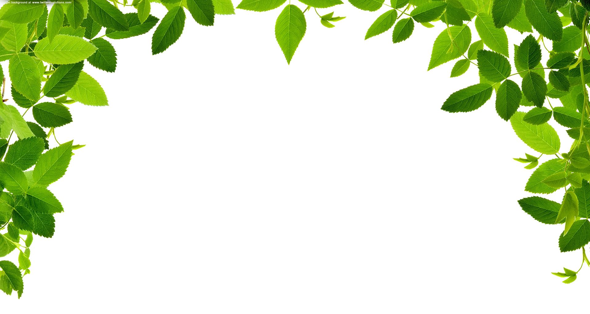 Leaves clipart real leaf. Free images at clker