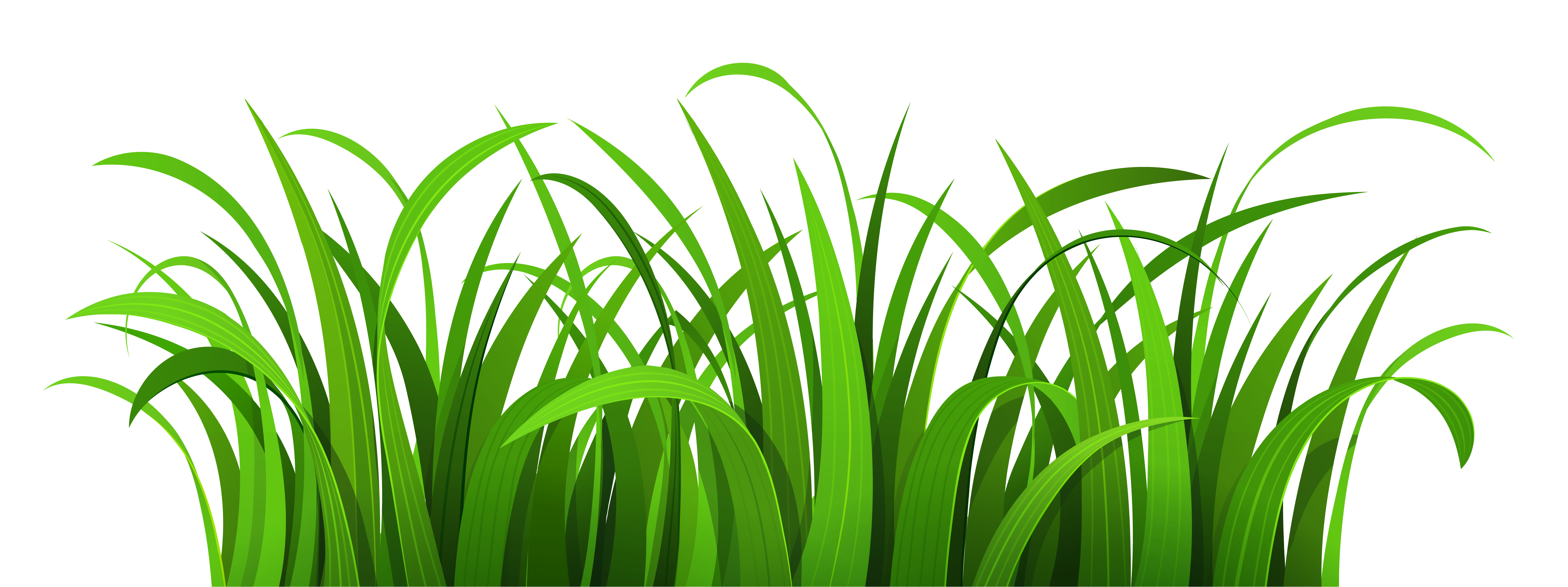 clipart sun grass