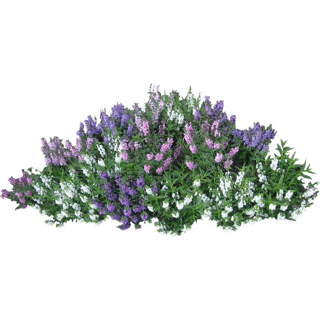 Download free png photo. Clipart forest bush