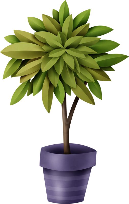 bushes clipart potted