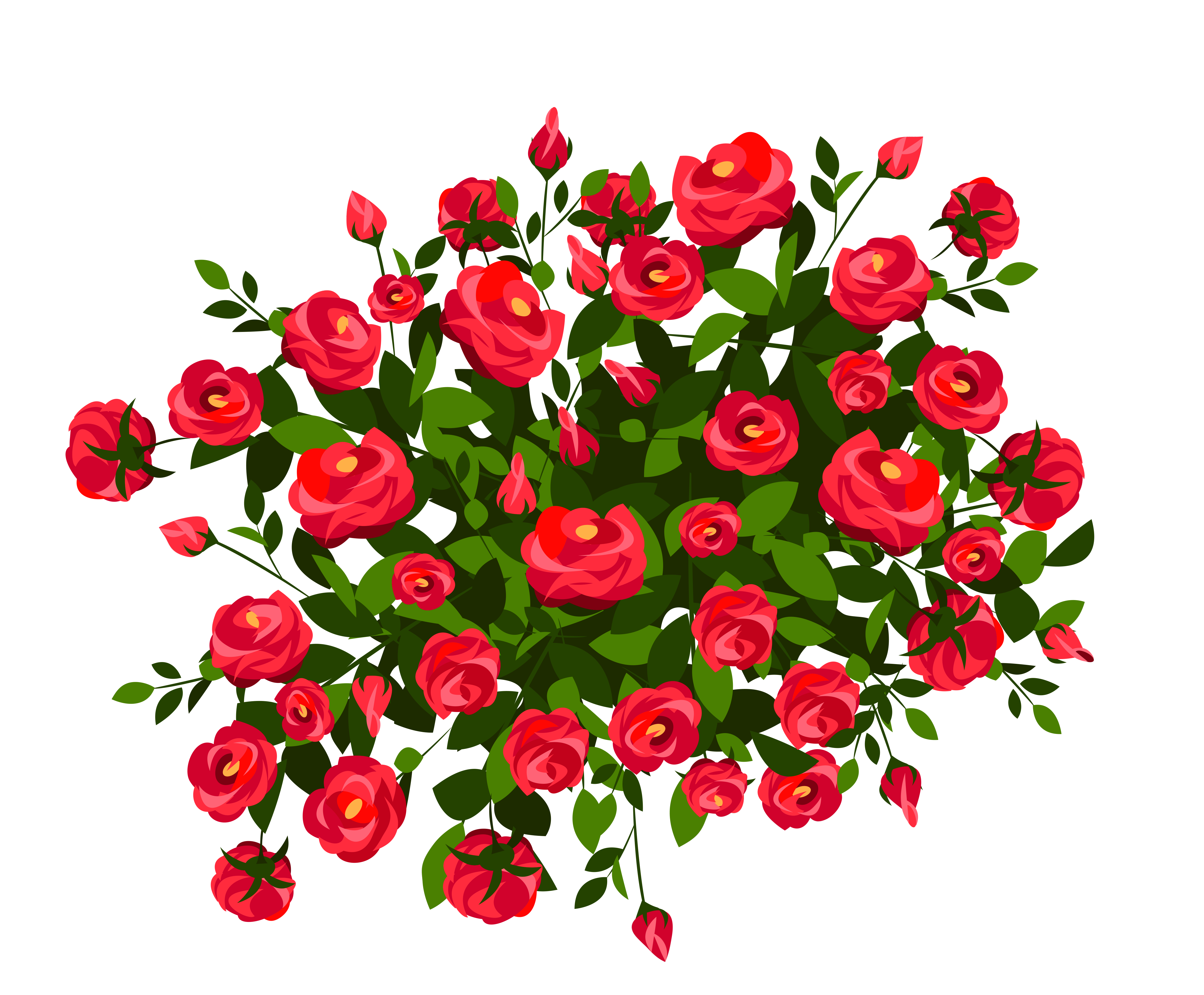 Red png image gallery. Clipart roses rose bush