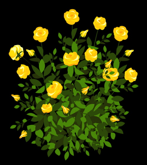 Upload stars yellow png. Bush clipart rose bush