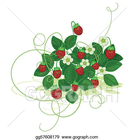 Vector illustration wood wild. Strawberries clipart bush