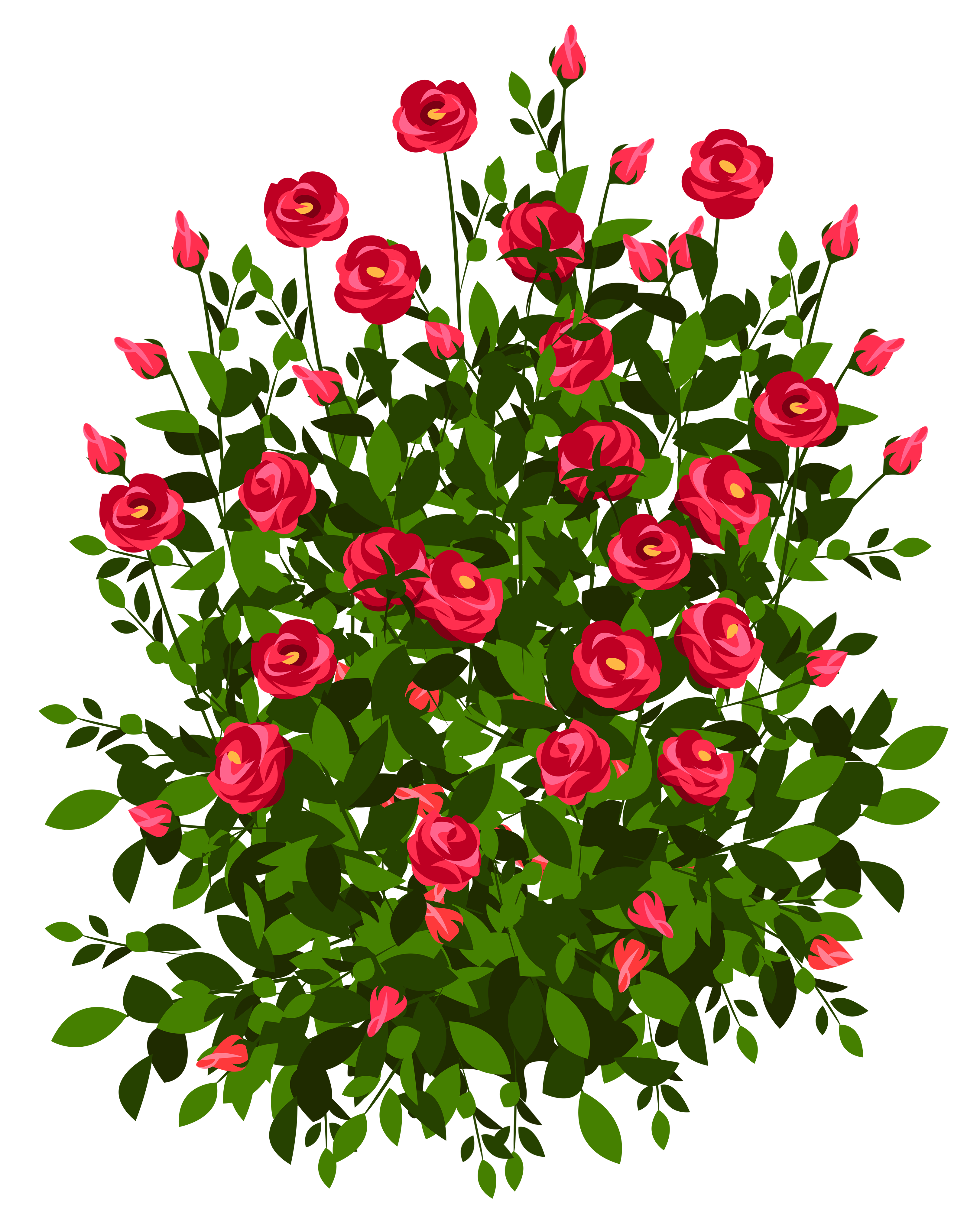 Red png picture gallery. Clipart roses rose bush