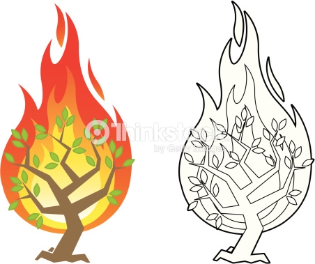 Burning illustration station . Bush clipart vector