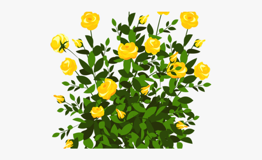 Free stock illustrations bush. Bushes clipart clip art