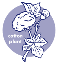 bushes clipart cotton