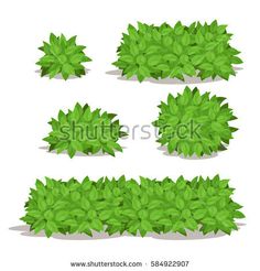 bushes clipart cotton