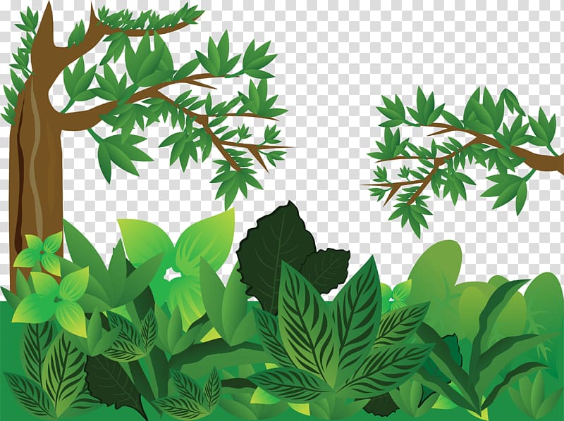 bushes clipart forest